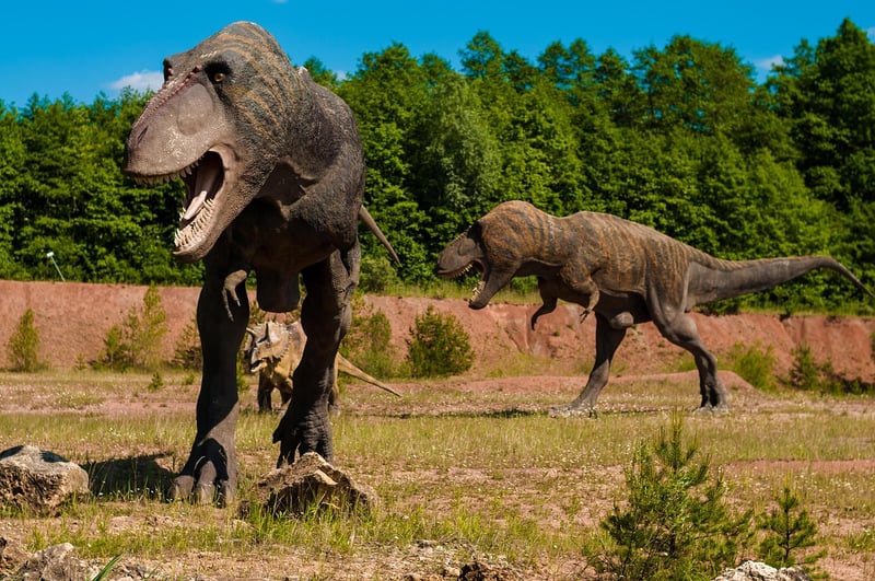 Dinosaur Safari
